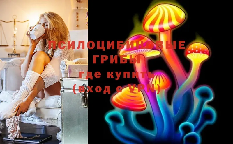 Псилоцибиновые грибы Psilocybine cubensis Люберцы