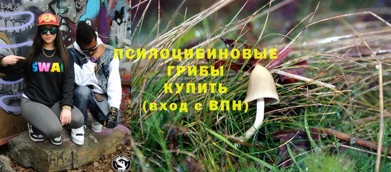 как найти закладки  Люберцы  Галлюциногенные грибы MAGIC MUSHROOMS 